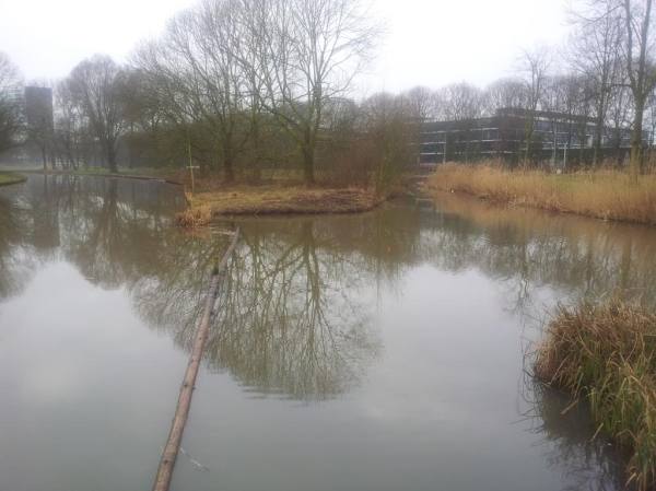 20130216_091336_zps21a5272b