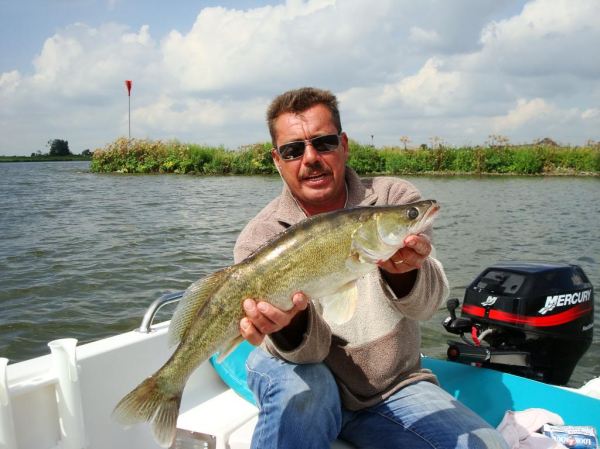 dsc01984_zpsff0d9c2d