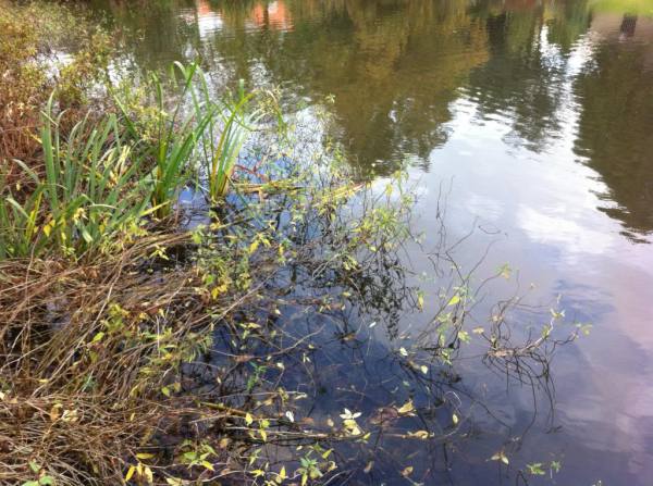 img_2511_zps3bcf9859