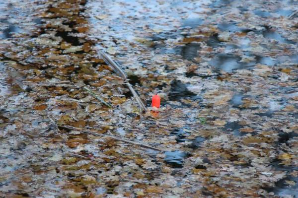 img_1825_zps8f8453ff