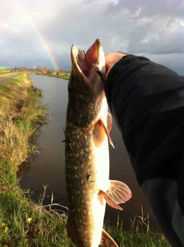 img_2564_zps3315821e