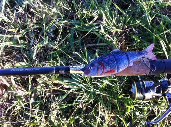 img_2568_zps69735b18