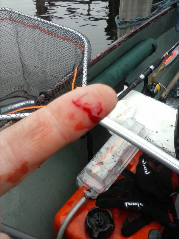 cam00015_zpsb3031b1b