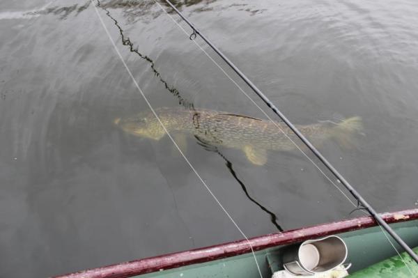 img_2063_zpsca0ed991