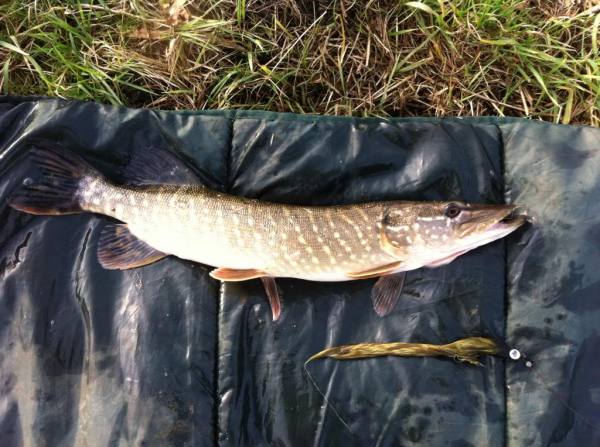 img_2841_zps47e11419