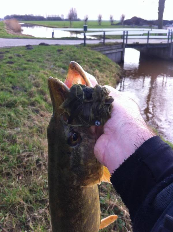 img_2844_zpsf854c3f2