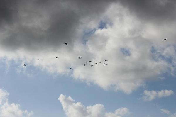 img_2268_zps4661526c