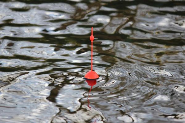 img_2275_zps3e7e806e