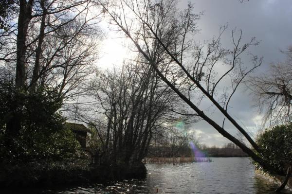 img_2277_zps399ec685