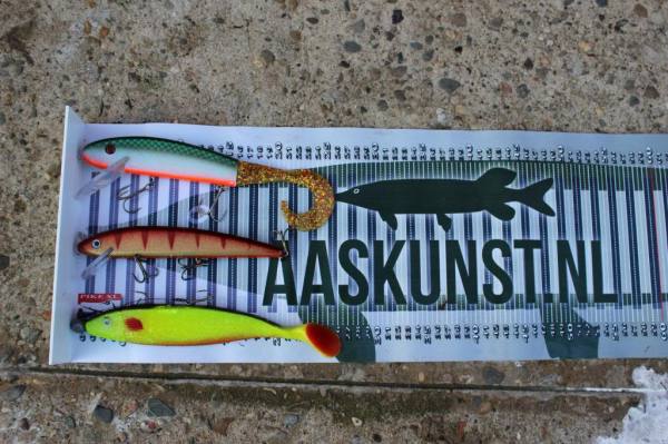 img_2302_zpsae51680c