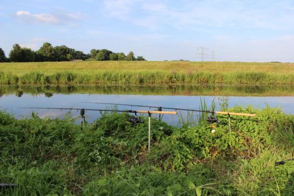 img_1390_zps0228b897