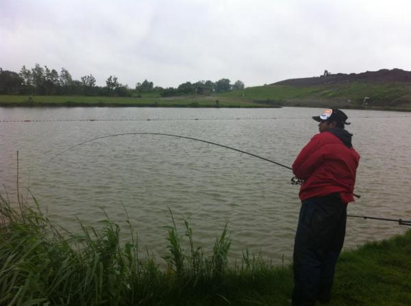 img_3331_zpscfb5e828