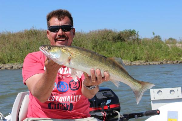 img_3516_zpsbad8f198