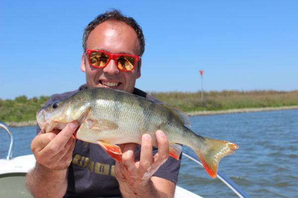 img_3520_zps30f9c377