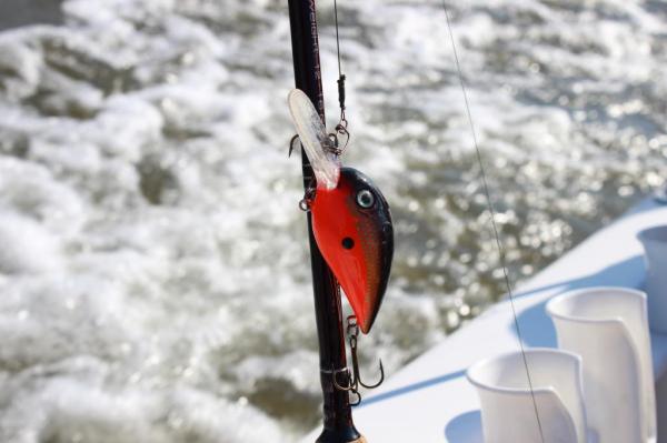 img_3530_zps9af15b26