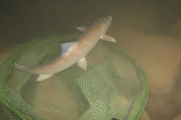 img_3577_bijgesneden_zps3665bbcd