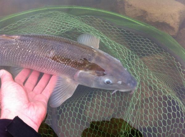 img_4506_zpse1175696