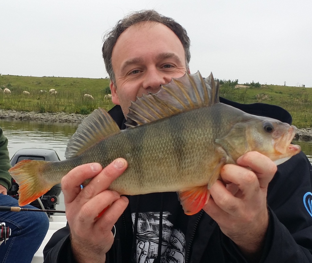 baars415_zpsrar5bok0