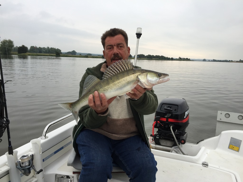 henk201e20snoekbaars_zpsfsqskjxp