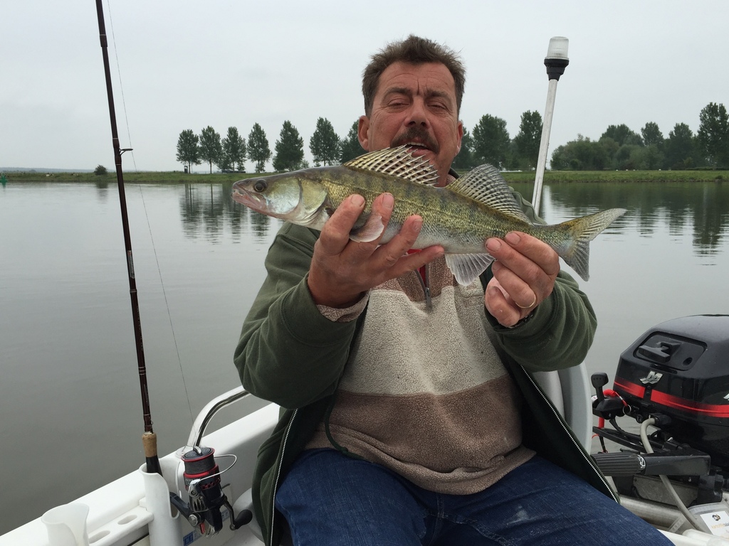 henk204e_zpssjucbacq