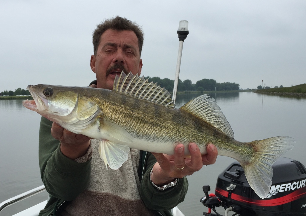 henk205e_zps1h1pnm9w