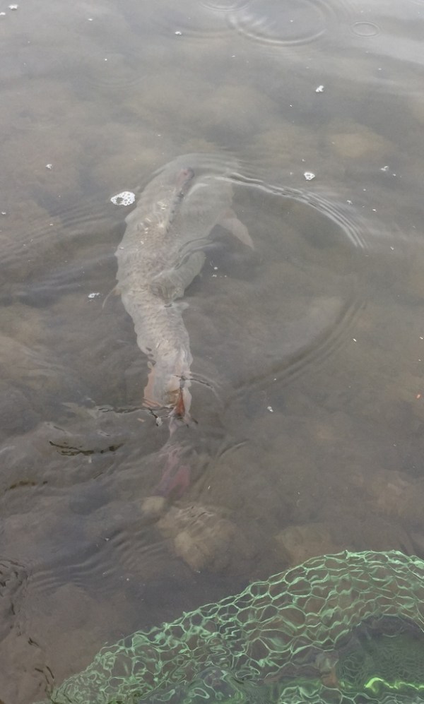 release3_zps2jaecxlk