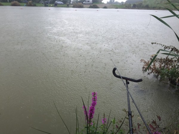 img_8131_zpsopcyqsg6