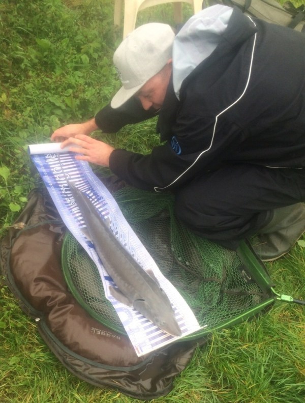 steur9720op20de20mat_zpsc3qvtfo6