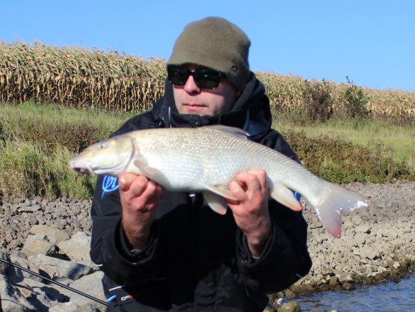 barbeel68_zps1cntt0wv