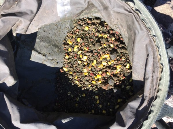 img_8371_zpszlyc7nlh