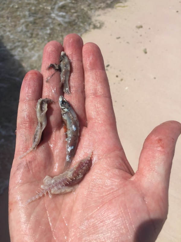 img_9343_zpsd34shrv6