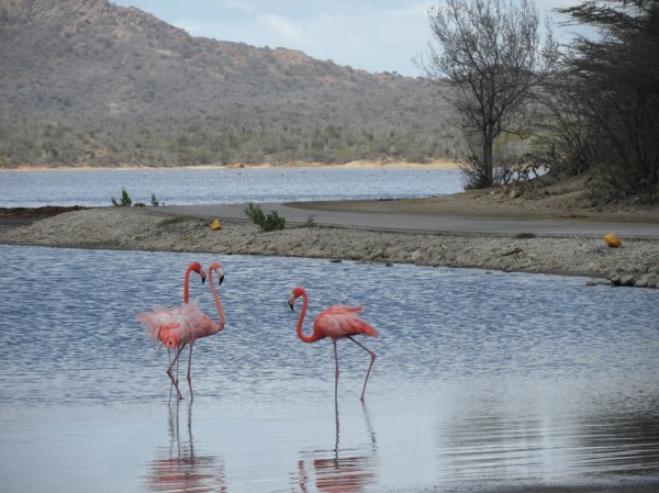 sam_4599_zpsgug1qpcd