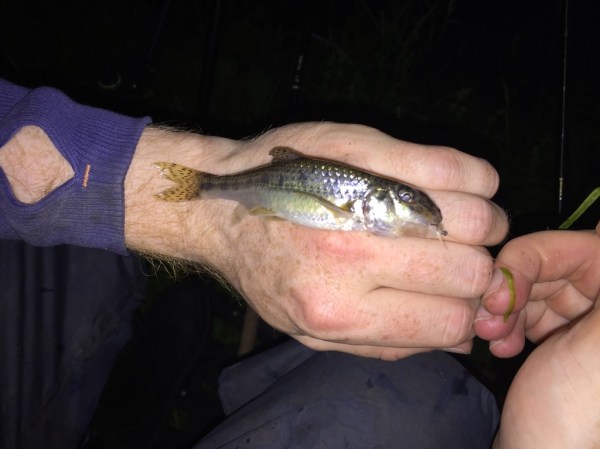 img_1108_zpsfhzrapwv